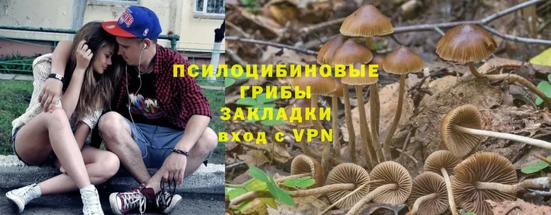 Псилоцибиновые грибы MAGIC MUSHROOMS  Балашов 